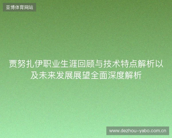 贾努扎伊职业生涯回顾与技术特点解析以及未来发展展望全面深度解析